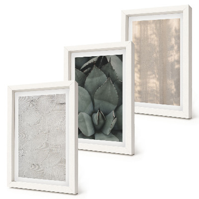 Photo frame wall Summer textures close-up in a tropical climate