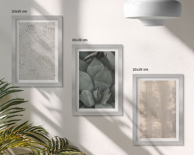 Photo frame wall Summer textures close-up in a tropical climate