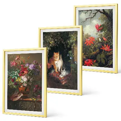 Set of 3 framed wall art pieces featuring vintage flowers and cats