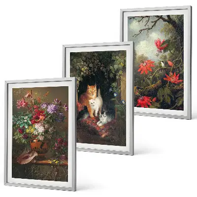 Set of 3 framed wall art pieces featuring vintage flowers and cats