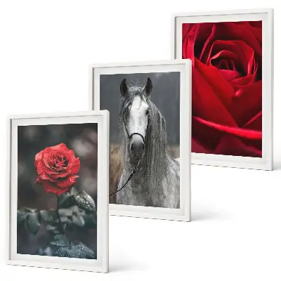 Set of 3 framed wall art pieces featuring a red roses and horse design in a gray world