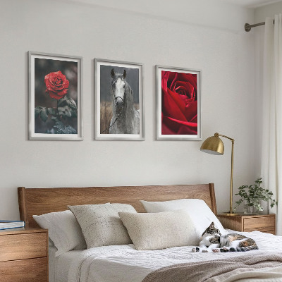 Set of 3 framed wall art pieces Red roses horse gray world