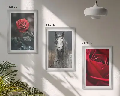 Set of 3 framed wall art pieces featuring a red roses and horse design in a gray world
