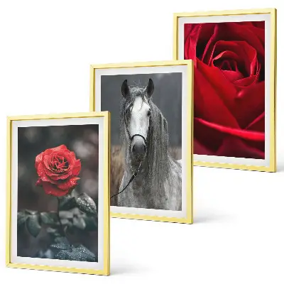 Set of 3 framed wall art pieces featuring a red roses and horse design in a gray world