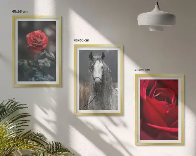 Set of 3 framed wall art pieces featuring a red roses and horse design in a gray world