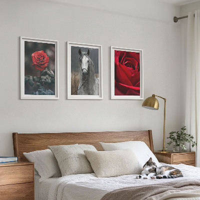 Set of 3 framed wall art pieces Red roses horse gray world