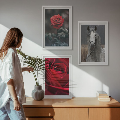 Set of 3 framed wall art pieces Red roses horse gray world