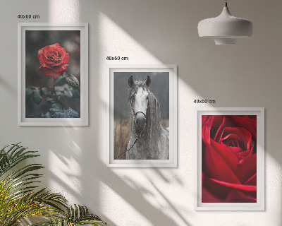 Set of 3 framed wall art pieces Red roses horse gray world