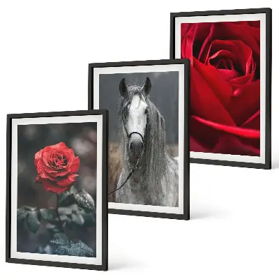 Set of 3 framed wall art pieces featuring a red roses and horse design in a gray world