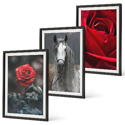 Set of 3 framed wall art pieces Red roses horse gray world