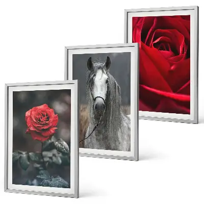 Set of 3 framed wall art pieces featuring a red roses and horse design in a gray world