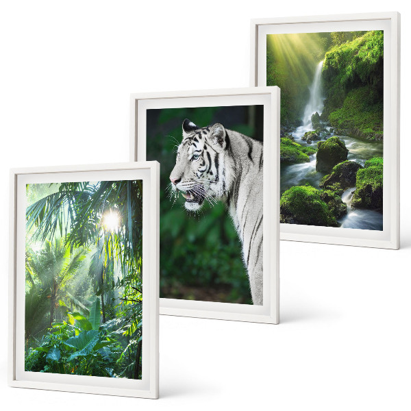 Set of 3 framed wall art pieces Jungle tiger waterfall
