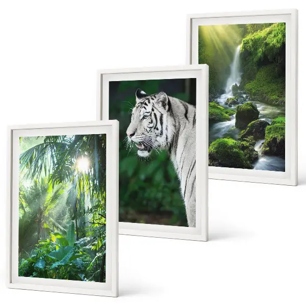 Jungle tiger waterfall wall art set of 3 framed pieces
