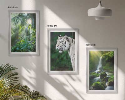 Set of 3 framed wall art pieces Jungle tiger waterfall