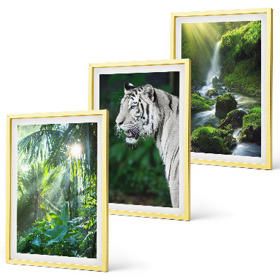 Set of 3 framed wall art pieces Jungle tiger waterfall