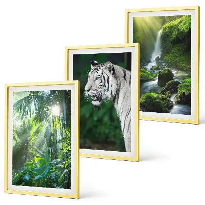 Jungle tiger waterfall wall art set of 3 framed pieces
