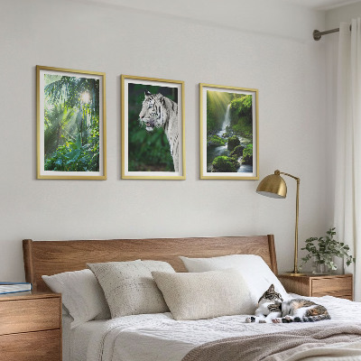 Set of 3 framed wall art pieces Jungle tiger waterfall