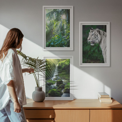 Set of 3 framed wall art pieces Jungle tiger waterfall