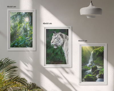 Set of 3 framed wall art pieces Jungle tiger waterfall