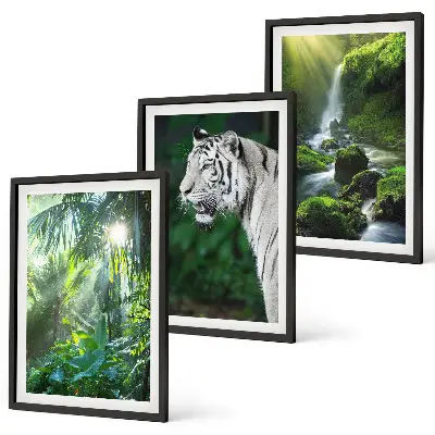 Jungle tiger waterfall wall art set of 3 framed pieces