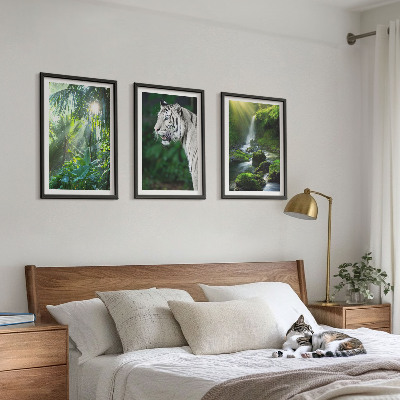Set of 3 framed wall art pieces Jungle tiger waterfall