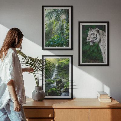 Set of 3 framed wall art pieces Jungle tiger waterfall