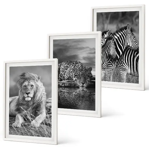 Wild animals of the savannah wall art set of 3 framed pieces