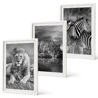 Set of 3 framed wall art pieces Wild animals of the savannah