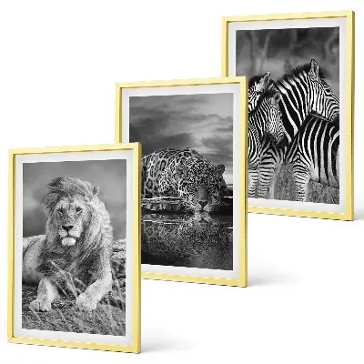 Set of 3 framed wall art pieces Wild animals of the savannah