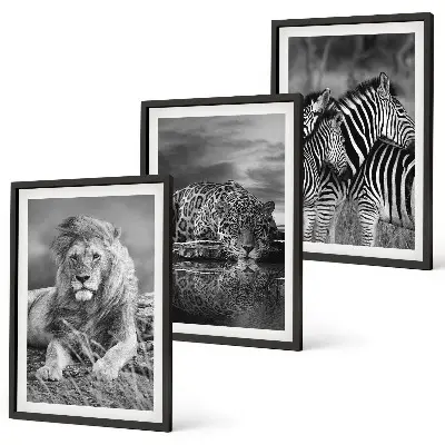Set of 3 framed wall art pieces Wild animals of the savannah