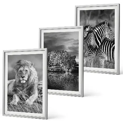 Wild animals of the savannah wall art set of 3 framed pieces