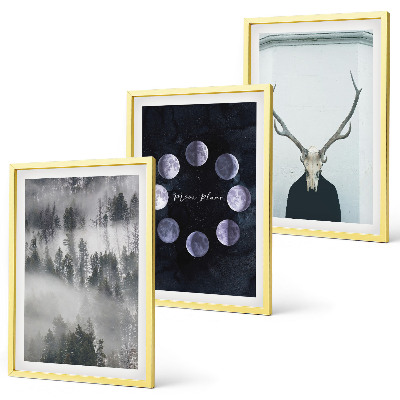 Set of 3 framed wall art pieces Forest landscape fog moon deer skull