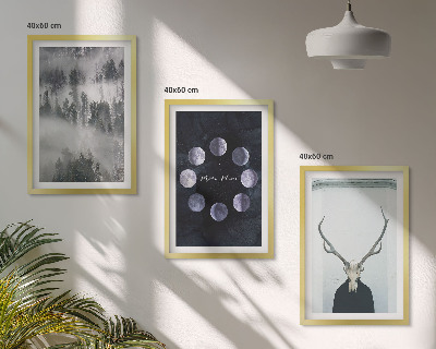 Set of 3 framed wall art pieces Forest landscape fog moon deer skull