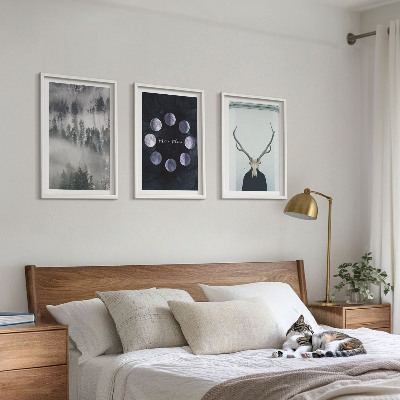 Set of 3 framed wall art pieces Forest landscape fog moon deer skull