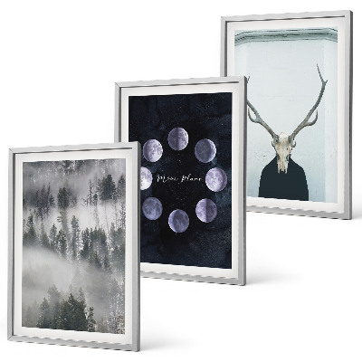 Set of 3 framed wall art pieces Forest landscape fog moon deer skull