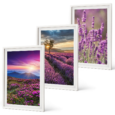 Three-piece wall art piece Lavender fields sunset