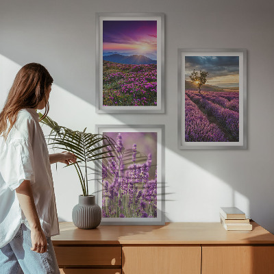 Three-piece wall art piece Lavender fields sunset