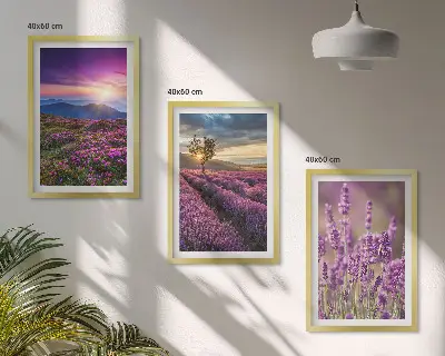 Lavender fields sunset wall art three-piece set