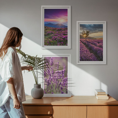 Three-piece wall art piece Lavender fields sunset