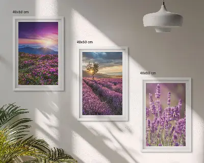 Lavender fields sunset wall art three-piece set