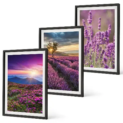 Lavender fields sunset wall art three-piece set