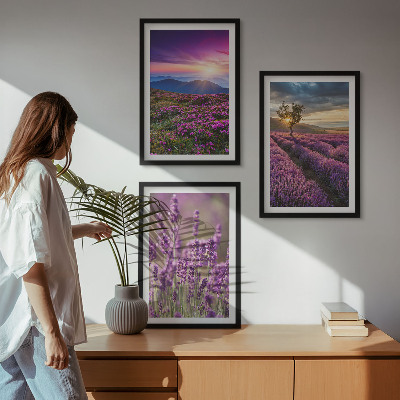 Three-piece wall art piece Lavender fields sunset