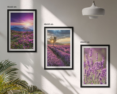 Three-piece wall art piece Lavender fields sunset