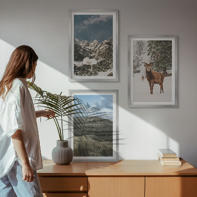 Set of 3 framed wall art pieces Mountains snow deer forest landscape