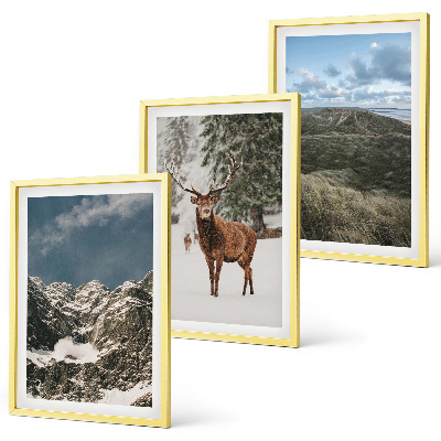 Set of 3 framed wall art pieces Mountains snow deer forest landscape