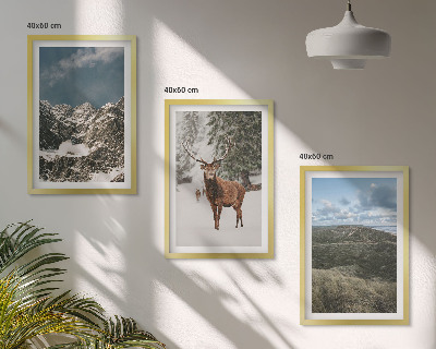 Set of 3 framed wall art pieces Mountains snow deer forest landscape