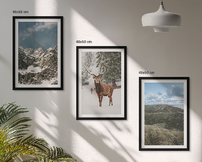 Set of 3 framed wall art pieces Mountains snow deer forest landscape
