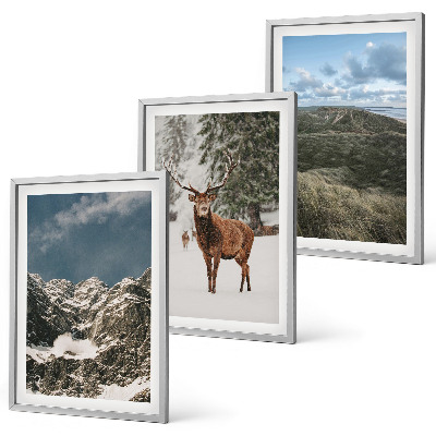 Set of 3 framed wall art pieces Mountains snow deer forest landscape