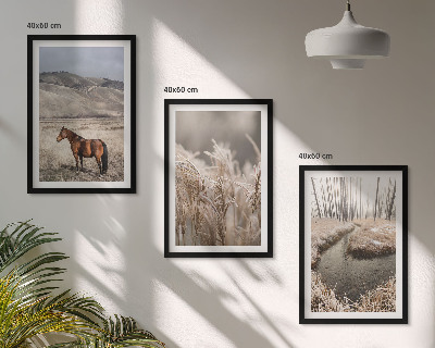 Wall art set Horses landscape grass stream