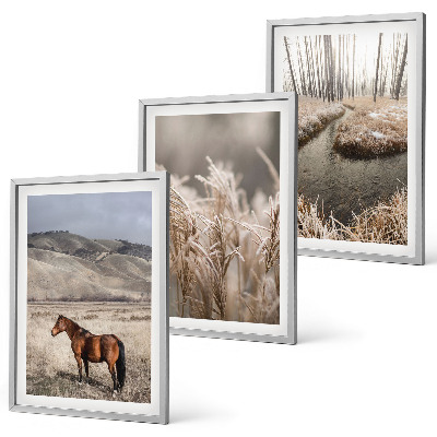 Wall art set Horses landscape grass stream